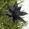 24" Black Velvet Poinsettia Stem
