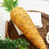 23.5" Carrot - Orange