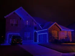 C9 Platinum Elite LED SMD Bulb (25 bulbs/bag) - Faceted, Blue