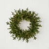 24" Dandan Green Plug-In Wreath with Warm White LED Lights