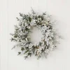 24" Dandan Plug-In Flocked Wreath with Warm White LED Lights