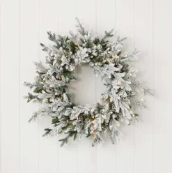 24" Dandan Plug-In Flocked Wreath with Warm White LED Lights