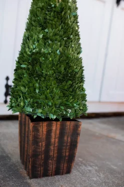 3.5' Faux Boxwood Trees - Set of 2
