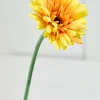22" Gerbera Daisy Stem