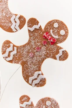 25" Gingerbread Spray