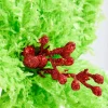 11" Green Furry Feather Fabric Poinsettia