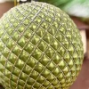 4" Green Glass Quilted Glitter Check Ball Ornament