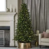 7' Palmetto LED Pine Tree