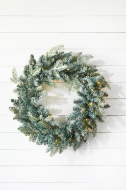 22" Park Hill Frosted Blue Spruce LED Wreath