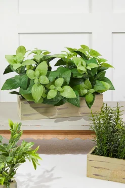 11" Plastic Herbs In Wooden Box