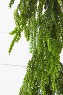 72” Real Touch Norfolk Pine Garland