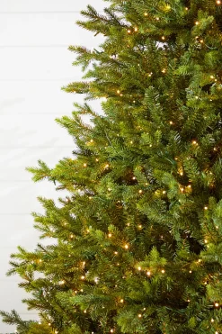 10' Slim Southern Fir with 2000 3mm Lights