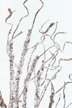 36" Snow Twig Branch