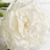 27” Snowy Peony Spray