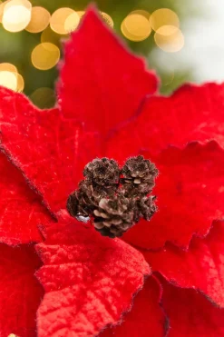 22” Velvet Felt Poinsettia Stem