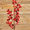 27" WP Berry Spray X 5