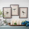 15" x 20" Framed Bird Print with Glass