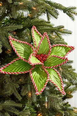 24” x 12" Green Peppermint Edge Poinsettia Stem