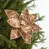 19" x 10" Natural Poinsettia Stem