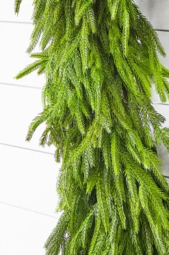 60" x 16" Real Touch Deluxe Norfolk Pine Garland