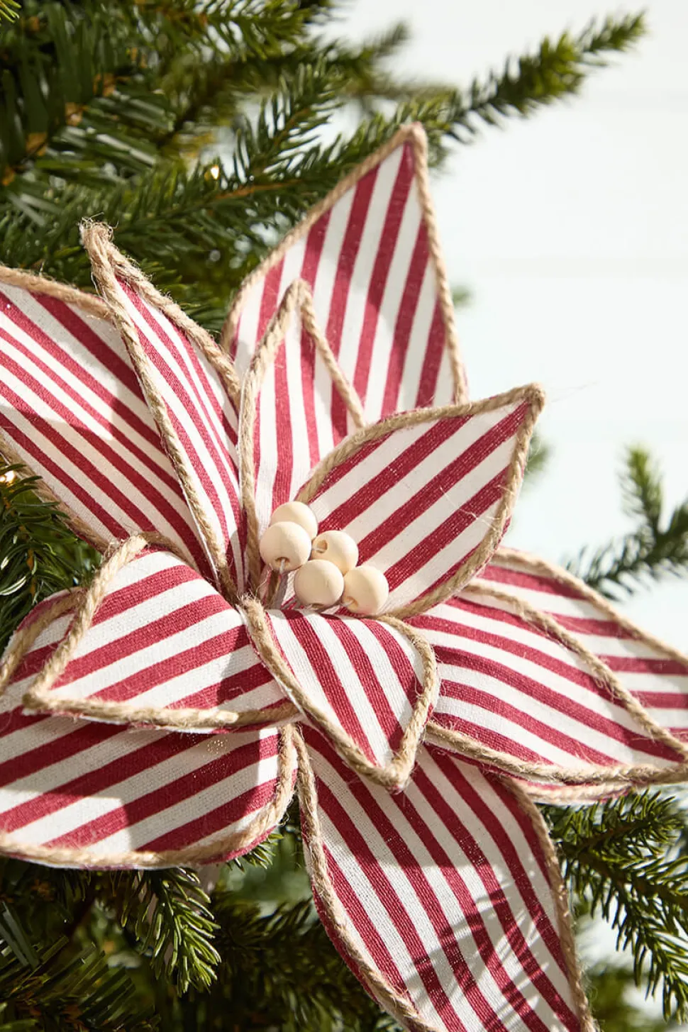 20" x 12" Striped Poinsettia Stem